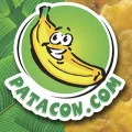 Logo de Patacon